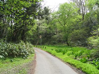 photo-20110503-2