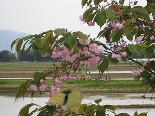 photo-20110503-8