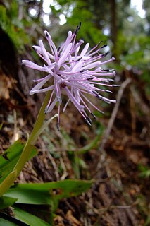 photo-20110504-7