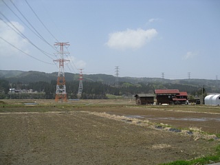 photo-20110504-8
