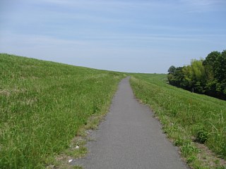 photo-20110604-1