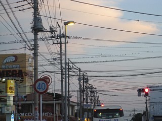 photo-20110624-1