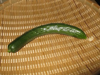 photo-20110630-1