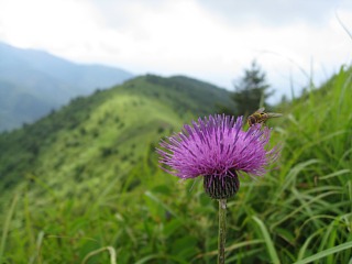 photo-20110724-2