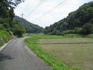 photo-20110806-4