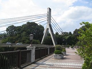 photo-20110911-10
