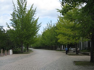 photo-20110911-5
