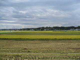 photo-20110922-1