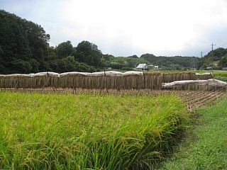photo-20110922-2