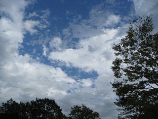 photo-20110922-4