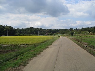 photo-20110925-1