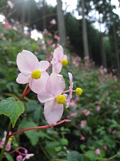 photo-20110925-12