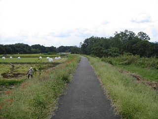photo-20110925-4