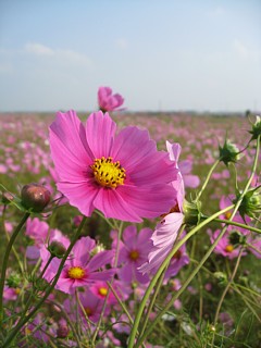 photo-20111009-4