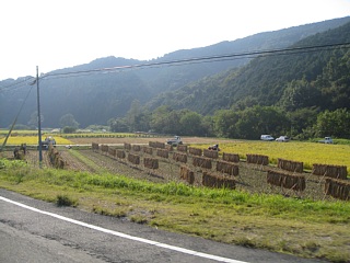 photo-20111010-4