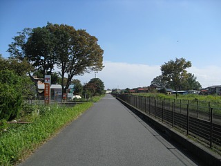 photo-20111016-2