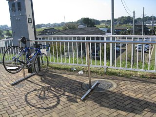 photo-20111016-4
