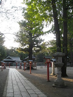 photo-20111023-3