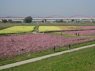 photo-20111029-2