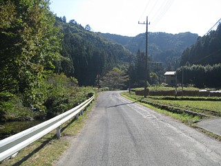 photo-20111029-4