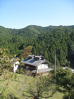 photo-20111029-5