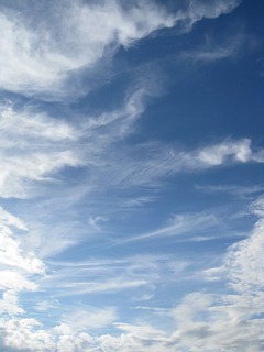 photo-20111115-1