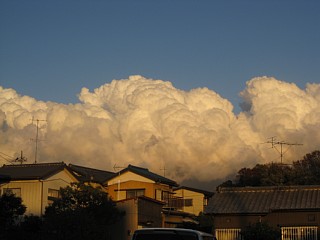 photo-20111120-2