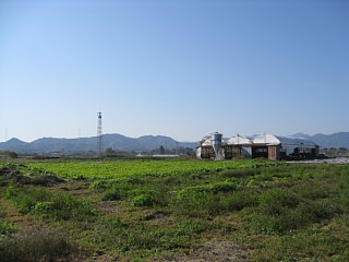 photo-20111123-3