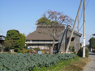 photo-20111123-4