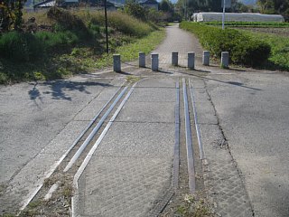 photo-20111123-5