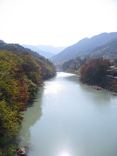 photo-20111123-6