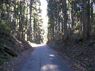 photo-20111204-5