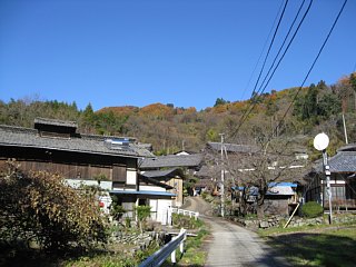 photo-20111204-6