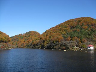 photo-20111204-7