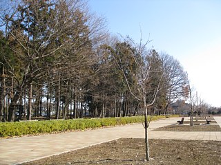 photo-20111231-1