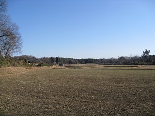 photo-20111231-2
