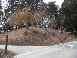 photo-20120115-2