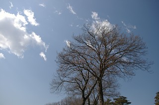 photo-20120129-2