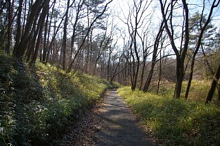 photo-20120129-4