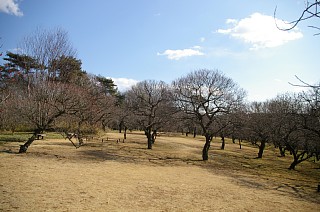 photo-20120129-6