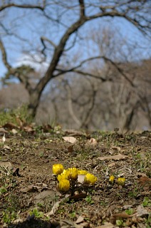 photo-20120129-8