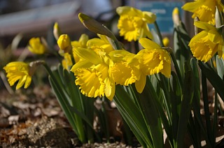 photo-20120129-9