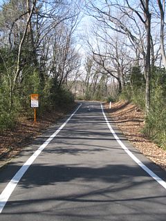 photo-20120205-3