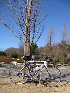 photo-20120212-3