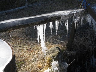 photo-20120219-5