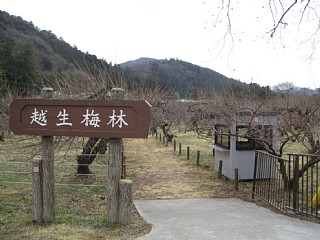 photo-20120226-4