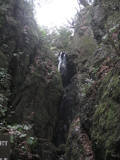 photo-20120226-7