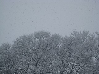 photo-20120229-1
