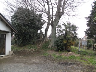 photo-20120304-4