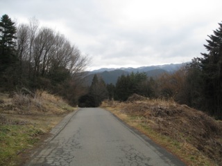 photo-20120311-10